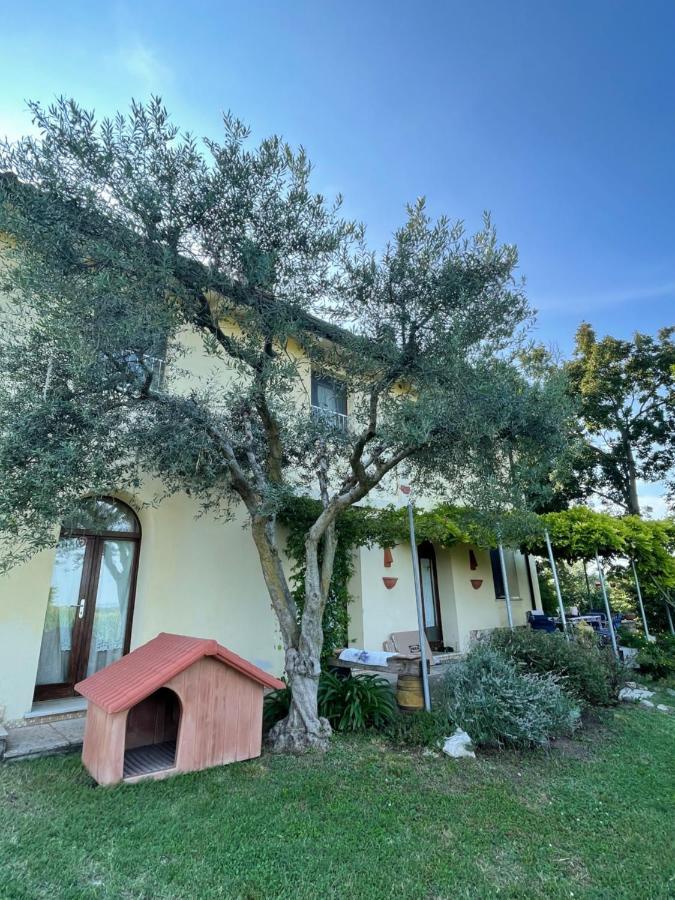 B&B Il Melograno モンツァンバーノ エクステリア 写真